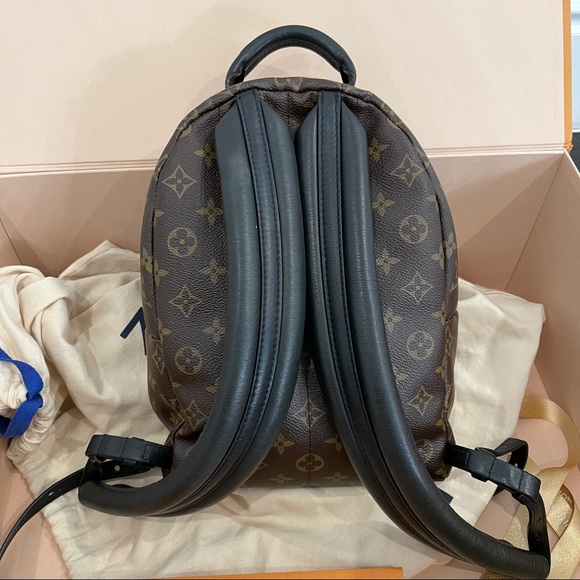 Louis Vuitton Pm backpack